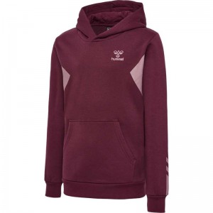 Hummel Active Co Hoodie Kinder Bordeaux | 400458-821