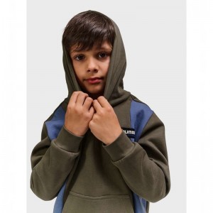 Hummel Allton Hoodie Kinder Braun | 730977-679