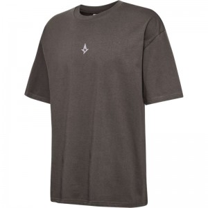 Hummel Astralis 24 Fan 2016 Loose Ss T-shirts Herren Schokolade | 885490-653