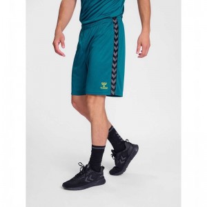 Hummel Authentic Pl Kurze Hose Herren Blau | 600256-659