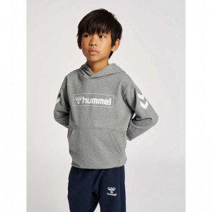 Hummel Box Hoodie Kinder Grau | 169769-269