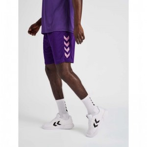 Hummel Core Xk Poly Kurze Hose Herren Lila | 894160-976