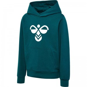 Hummel Cuatro Hoodie Kinder Grün | 919776-040