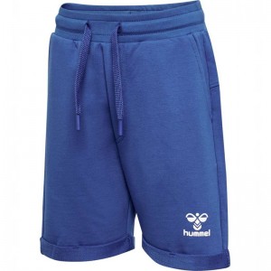Hummel Flik Kurze Hose Kinder Blau | 370284-248
