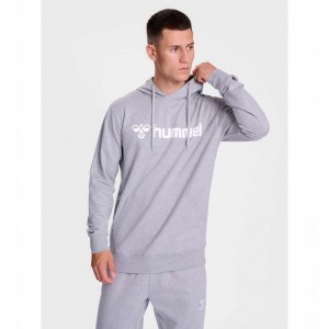 Hummel Go 2.0 Logo Hoodie Herren Grau | 338927-399