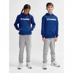 Hummel Go 2.0 Logo Hoodie Kinder Blau | 116481-086