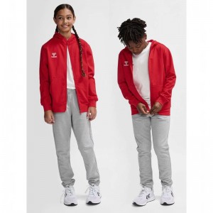 Hummel Go 2.0 Zip Hoodie Kinder Rot | 131047-436