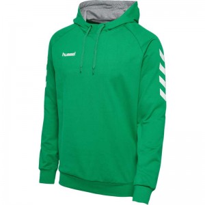 Hummel Go Cotton Hoodie Herren Grün | 750848-943
