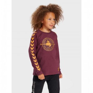 Hummel Harry Potter Ls T-shirts Kinder Fuchsie | 995496-820