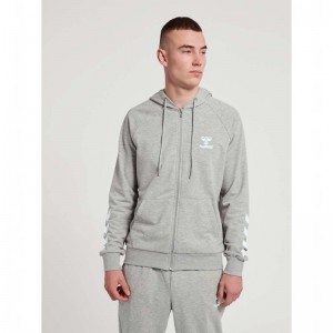 Hummel Isam 2.0 Zip Hoodie Herren Grau | 702159-691