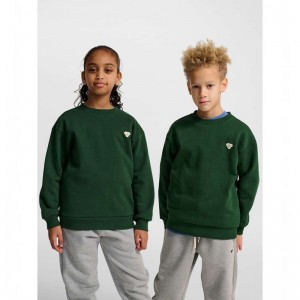 Hummel Jr Loose Crewneck Bee Sweatshirts Kinder Grün | 035357-023