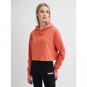 Hummel Legacy Cropped Hoodie Damen Aprikose | 441114-379