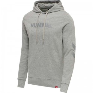 Hummel Legacy Logo Plus Hoodie Herren Grau | 156301-045