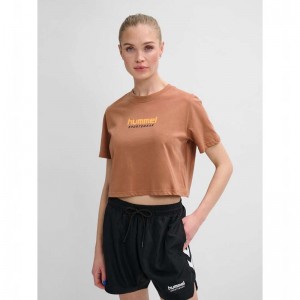 Hummel Lgc Malu Cropped T-shirts Damen Braun | 218217-203