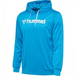 Hummel Logo Hoodie Herren Blau | 307954-841