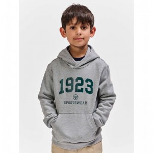 Hummel Nipps Hoodie Kinder Grau | 748617-625
