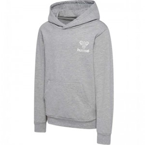 Hummel Proud Hoodie Kinder Grau | 866846-137