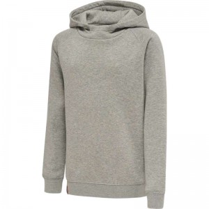 Hummel Red Classic Hoodie Kinder Grau | 520805-138