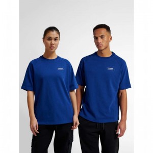 Hummel Tech Loose T-shirts Damen Blau | 770478-682
