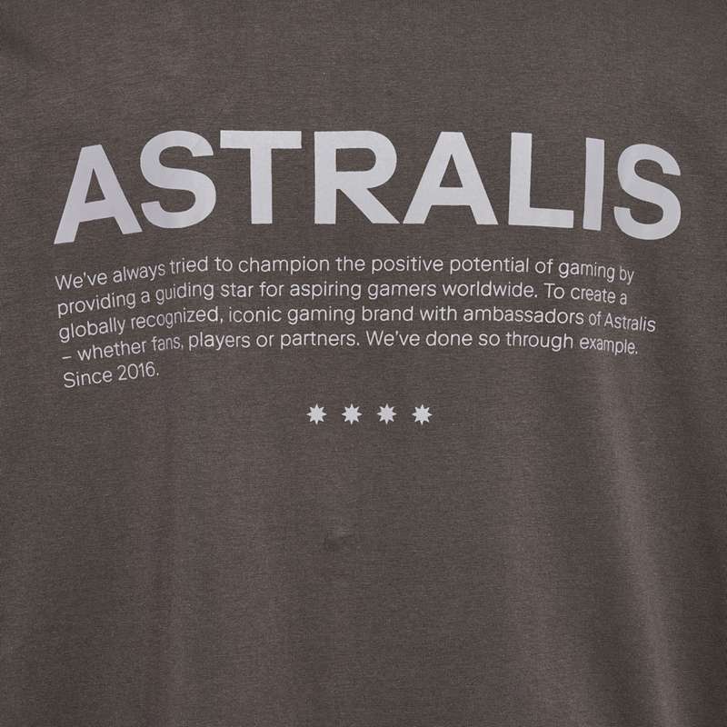 Hummel Astralis 24 Fan 2016 Loose Ls T-shirts Herren Schokolade | 524429-734