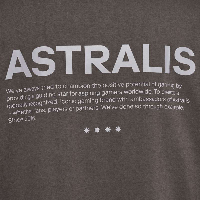 Hummel Astralis 24 Fan 2016 Loose Ss T-shirts Herren Schokolade | 885490-653