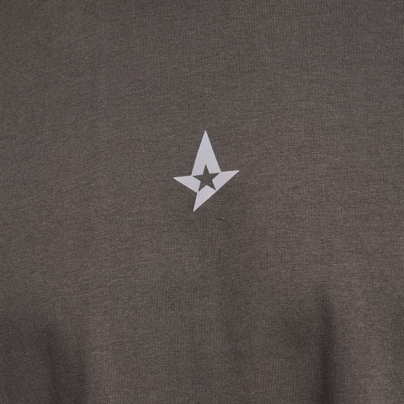 Hummel Astralis 24 Fan 2016 Loose Ss T-shirts Herren Schokolade | 885490-653