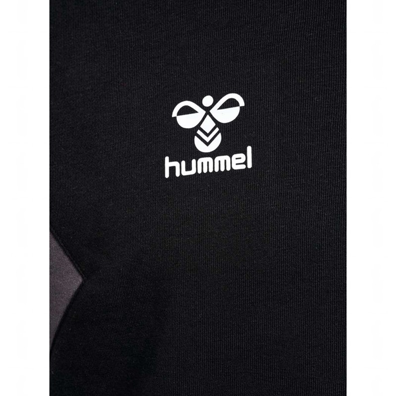 Hummel Authentic Co Training Sweat Sweatshirt Herren Schwarz | 753780-410