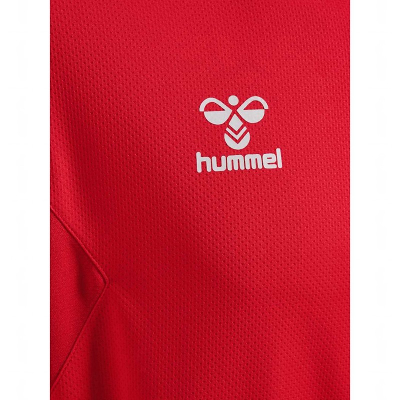 Hummel Authentic Pl Hoodie Herren Rot | 869820-786