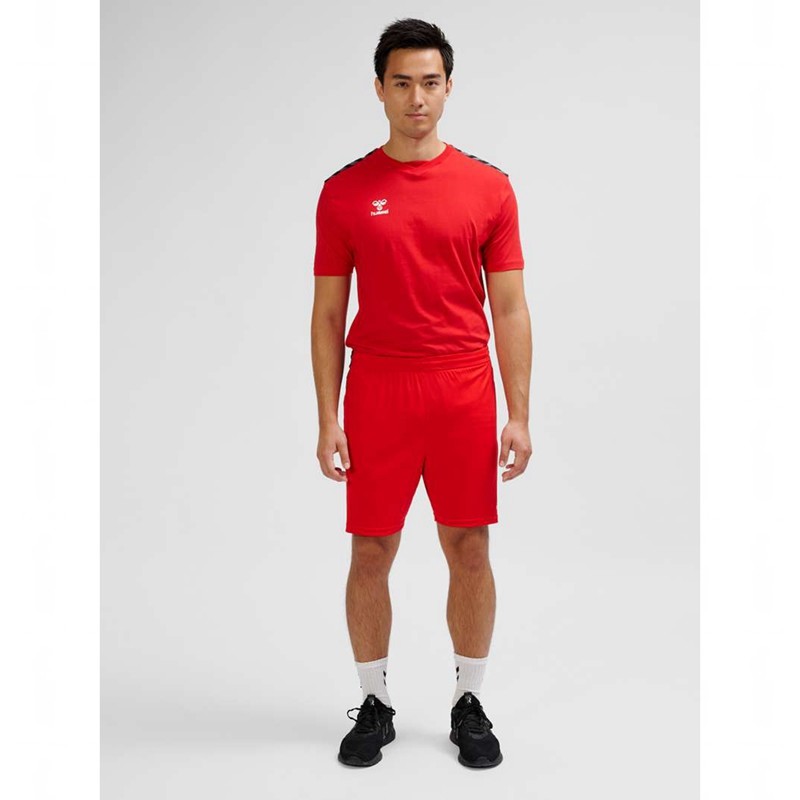 Hummel Authentic Pl Kurze Hose Herren Rot | 293669-461