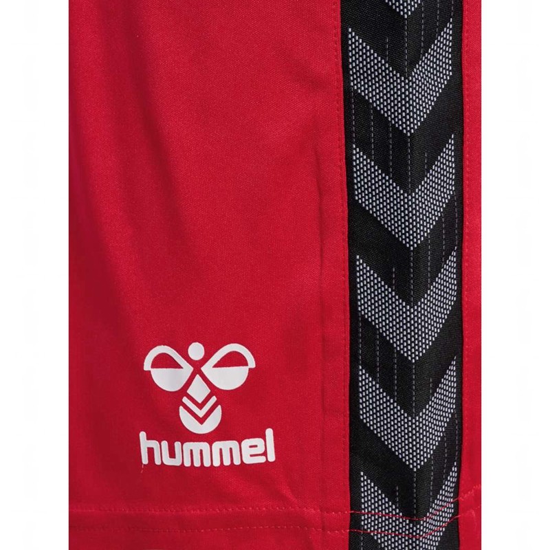 Hummel Authentic Pl Kurze Hose Herren Rot | 293669-461