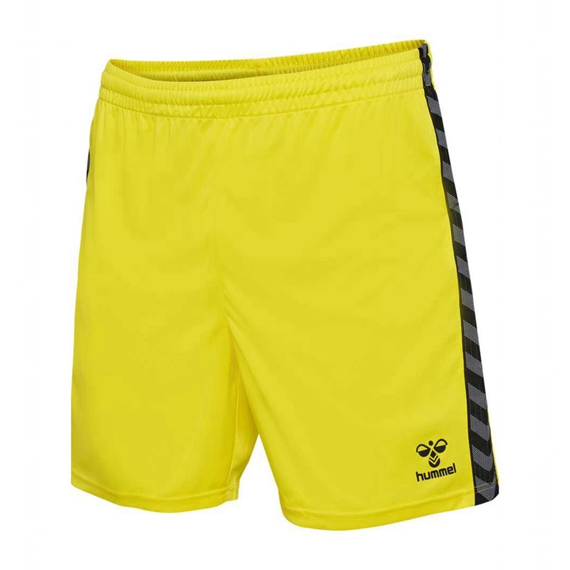 Hummel Authentic Pl T-shirts Herren Gelb | 991531-487