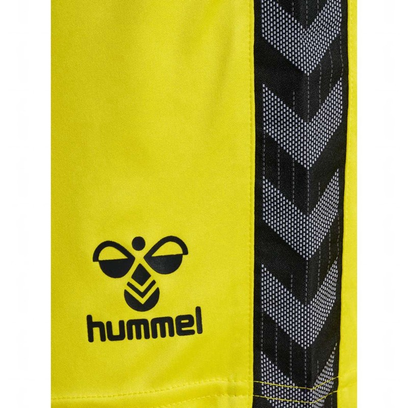 Hummel Authentic Pl T-shirts Herren Gelb | 991531-487