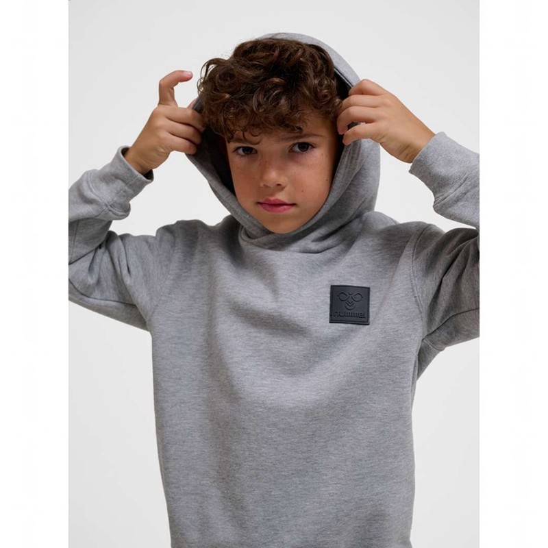 Hummel Clean Hoodie Kinder Grau | 946551-118