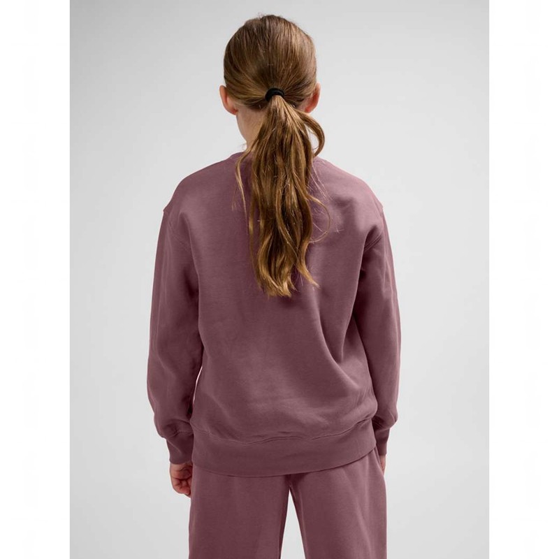 Hummel Clean Sweatshirts Kinder Rosa | 657835-742