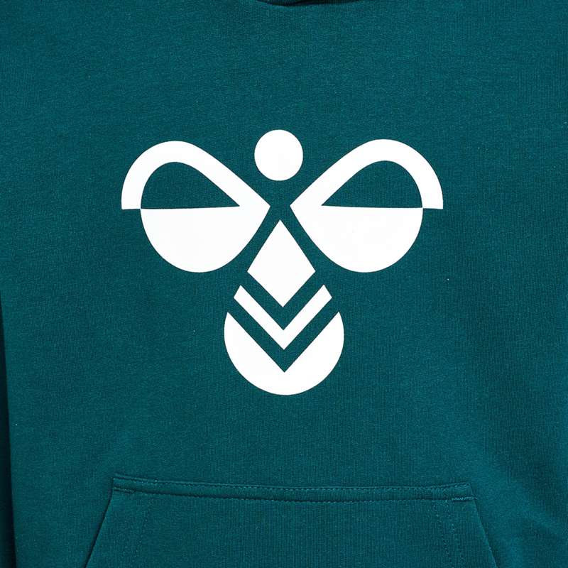 Hummel Cuatro Hoodie Kinder Grün | 919776-040