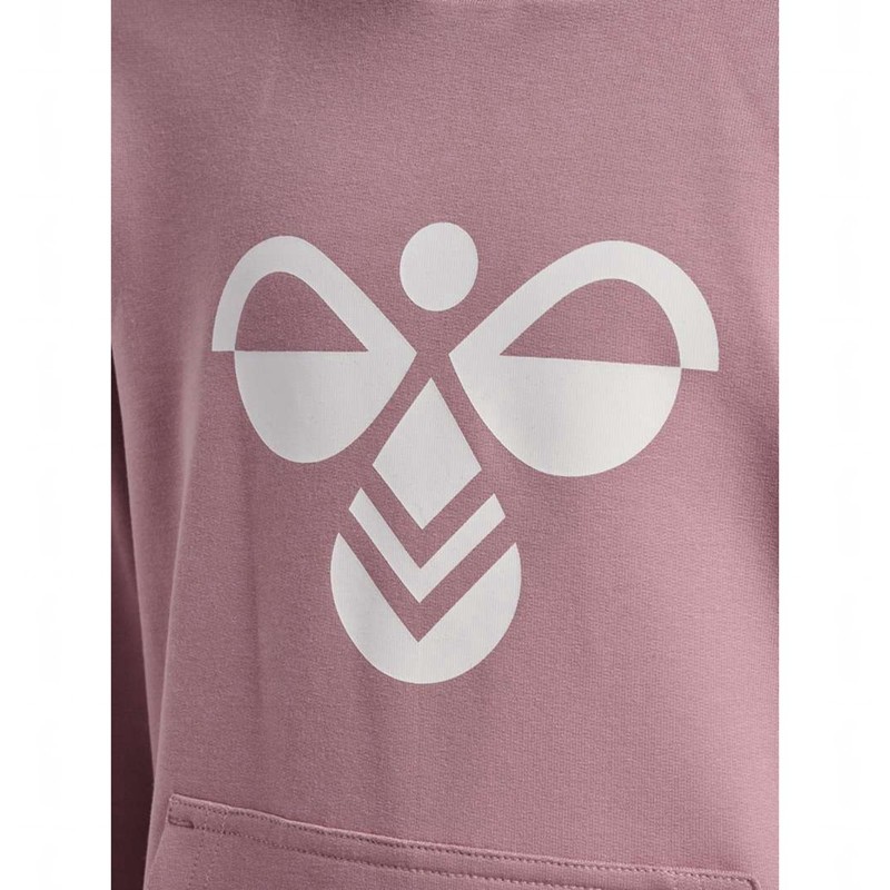 Hummel Cuatro Hoodie Kinder Rosa | 166453-629