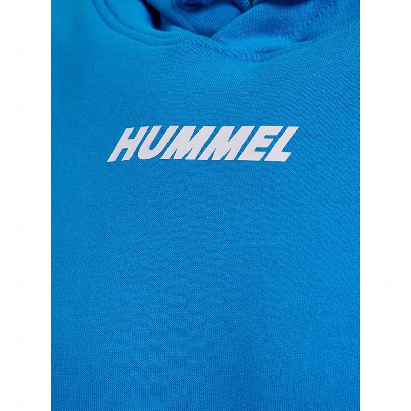 Hummel Elemental Hoodie Herren Blau | 135405-705