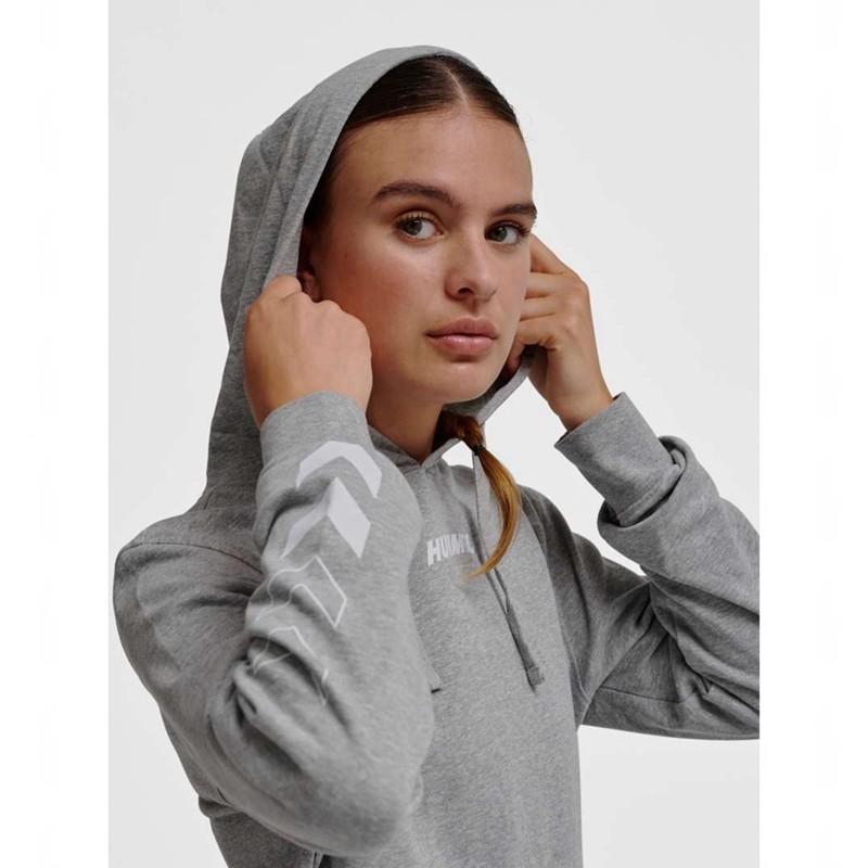 Hummel Elemental Hoodie Herren Grau | 353650-319
