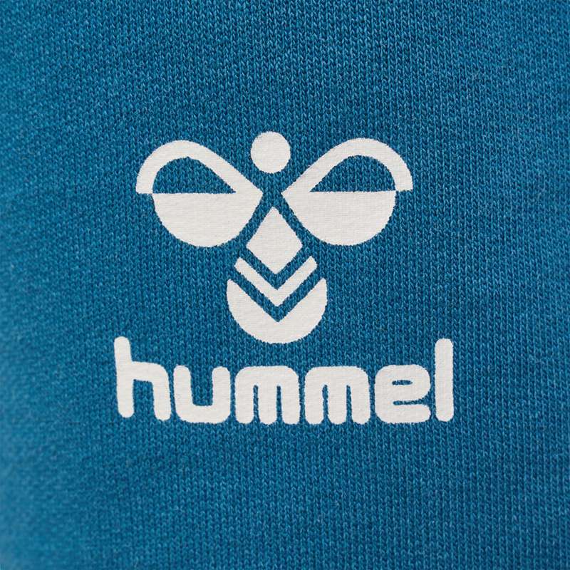 Hummel Flow Kurze Hose Kinder Blau | 840522-345