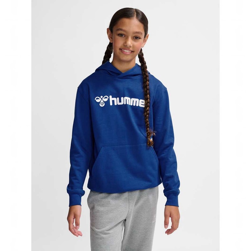 Hummel Go 2.0 Logo Hoodie Kinder Blau | 116481-086