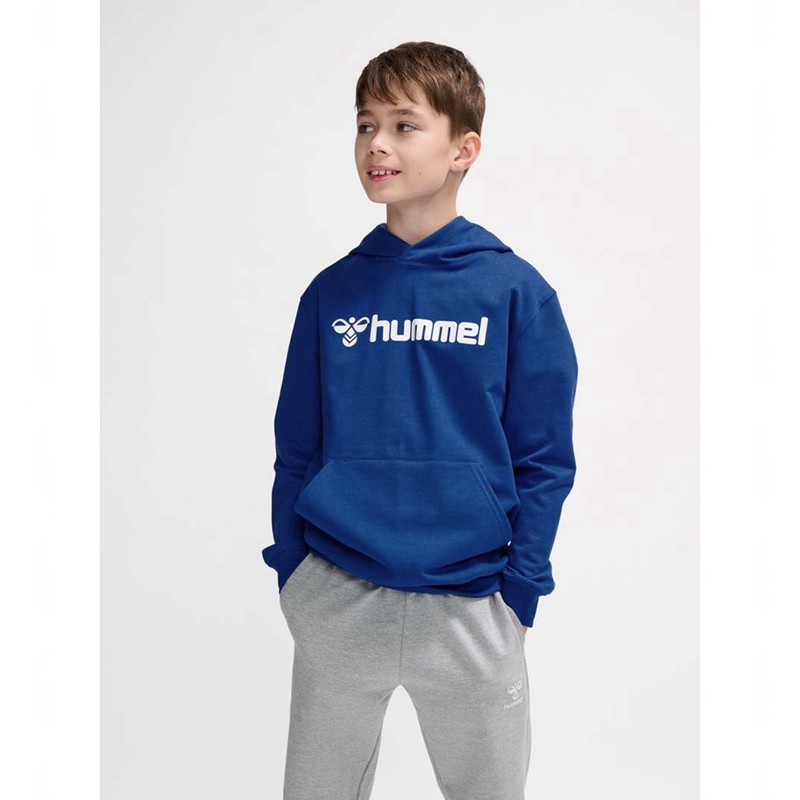 Hummel Go 2.0 Logo Hoodie Kinder Blau | 116481-086