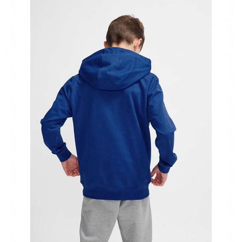 Hummel Go 2.0 Logo Hoodie Kinder Blau | 116481-086