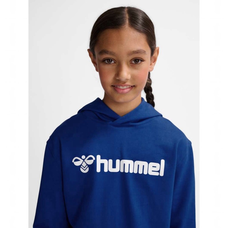 Hummel Go 2.0 Logo Hoodie Kinder Blau | 116481-086