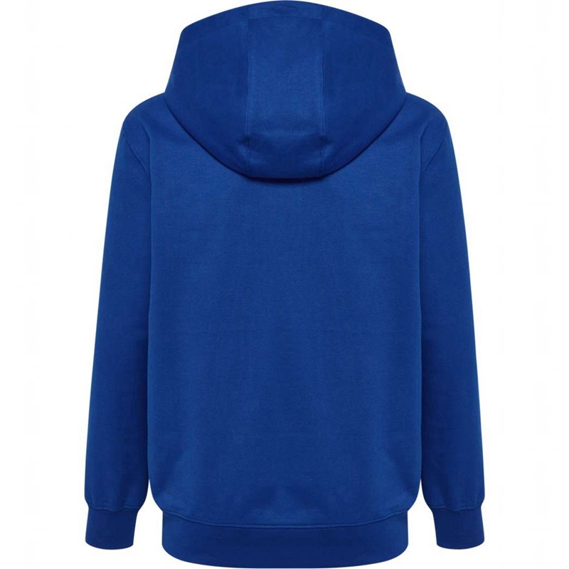 Hummel Go 2.0 Logo Hoodie Kinder Blau | 116481-086