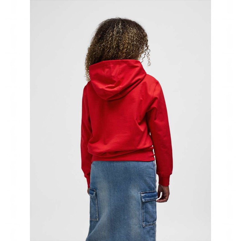 Hummel Go 2.0 Logo Hoodie Kinder Rot | 858408-338