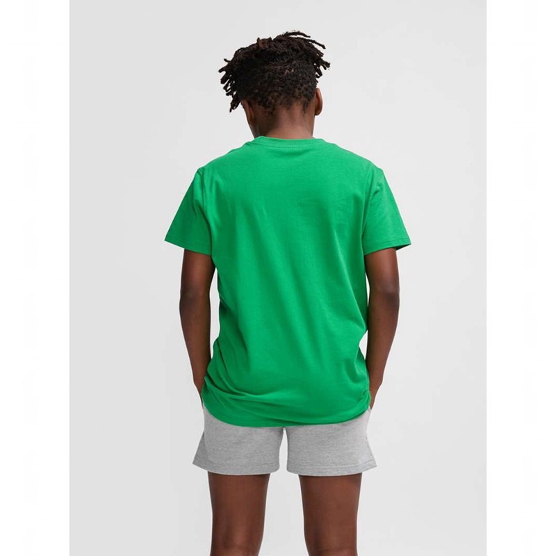 Hummel Go 2.0 S/S T-shirts Kinder Grün | 001911-674