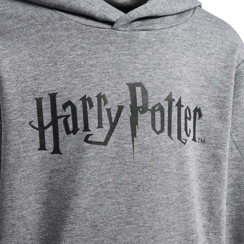 Hummel Harry Potter Hoodie Kinder Grau | 414645-013