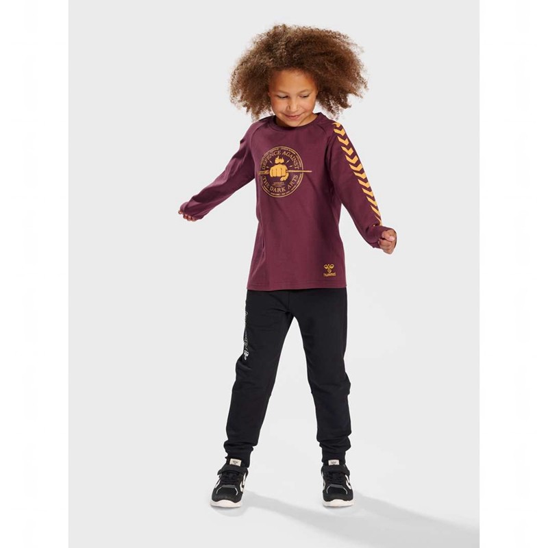 Hummel Harry Potter Ls T-shirts Kinder Fuchsie | 995496-820