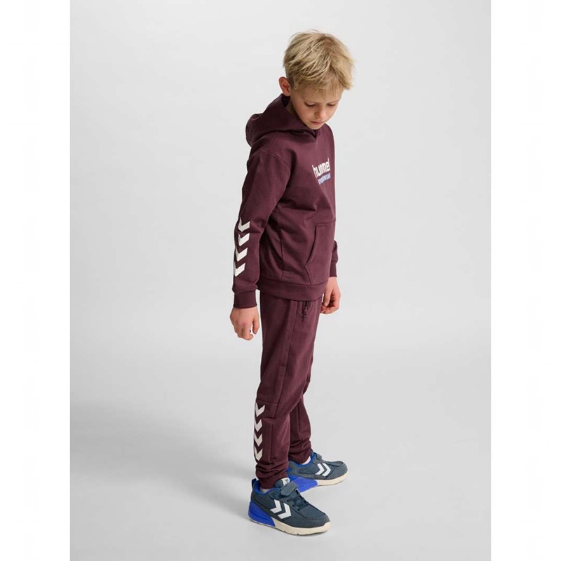 Hummel Jr Logo Hoodie Kinder Bordeaux | 759227-359