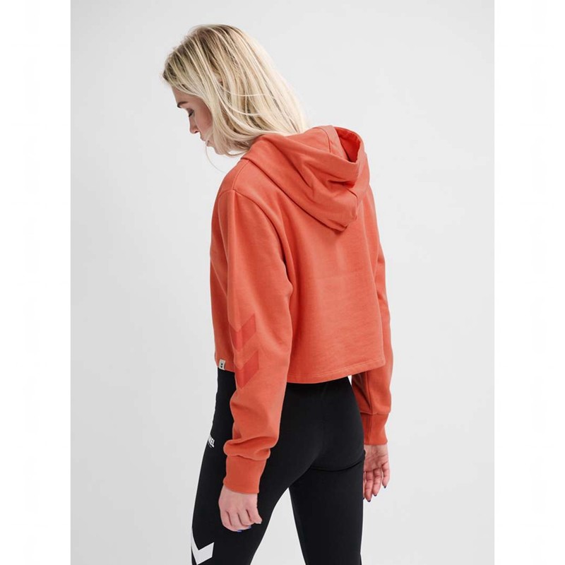 Hummel Legacy Cropped Hoodie Damen Aprikose | 441114-379